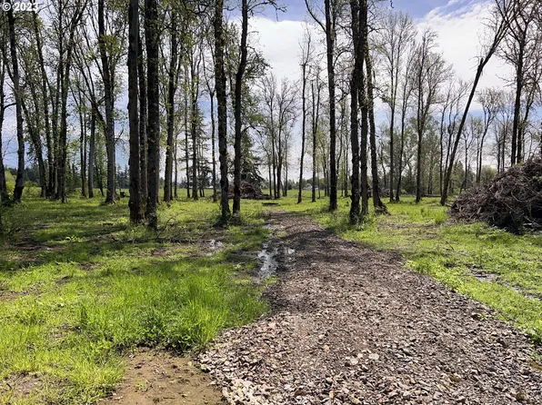 31101 NE 59th Ave, La Center, WA 98629