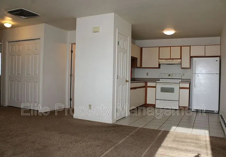 208 W Palmer Lake Dr — Photo 4