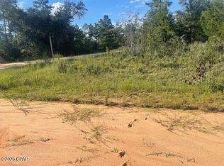 NULLA Nezperce Dr, Alford, FL 32420