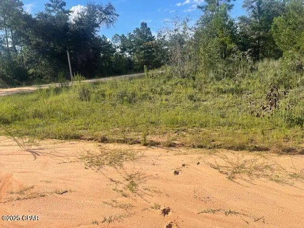 NULLA Nezperce Dr, Alford, FL 32420