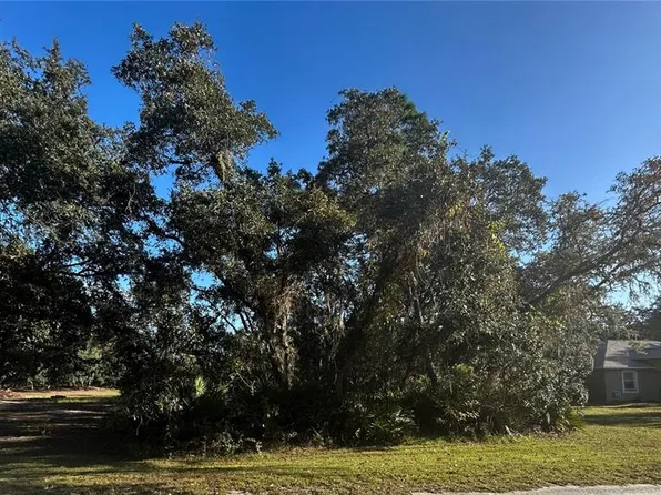 34429 Manuel St Lot 22, Webster, FL 33597