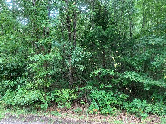 3rd image of Hawthorne Ln