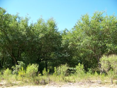 301 W. Longview Court, Madisonville, LA, 70447