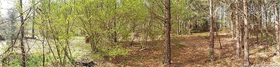 1st image of 6519 Celestial Pine Dr