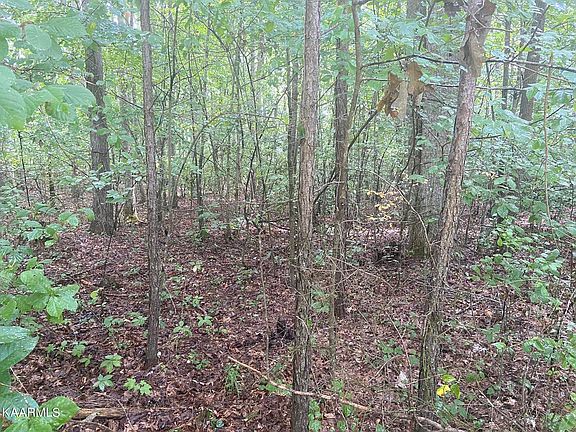 3rd image of 0 S Lane Ct Lot 106