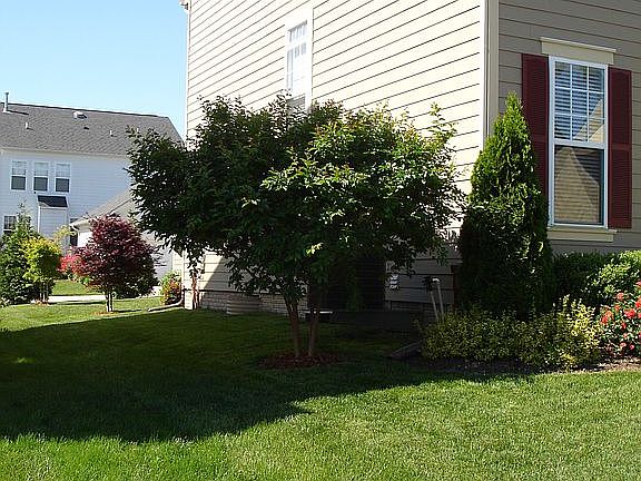4th image of 1116 Innis Dr
