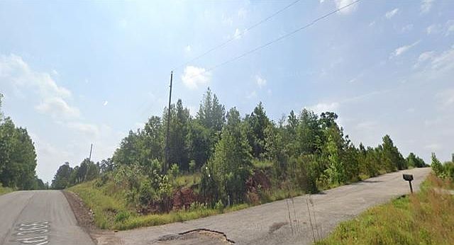 2nd image of 16590 Landons Way