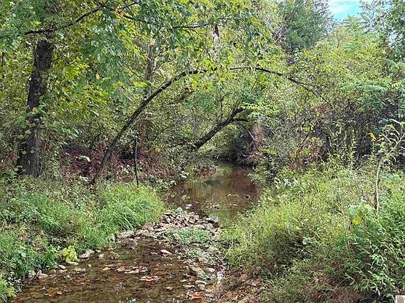 4th image of 240 Jeff Watson Rd