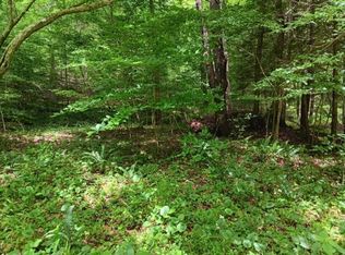 Wolf Crk, Sutton, WV 26601