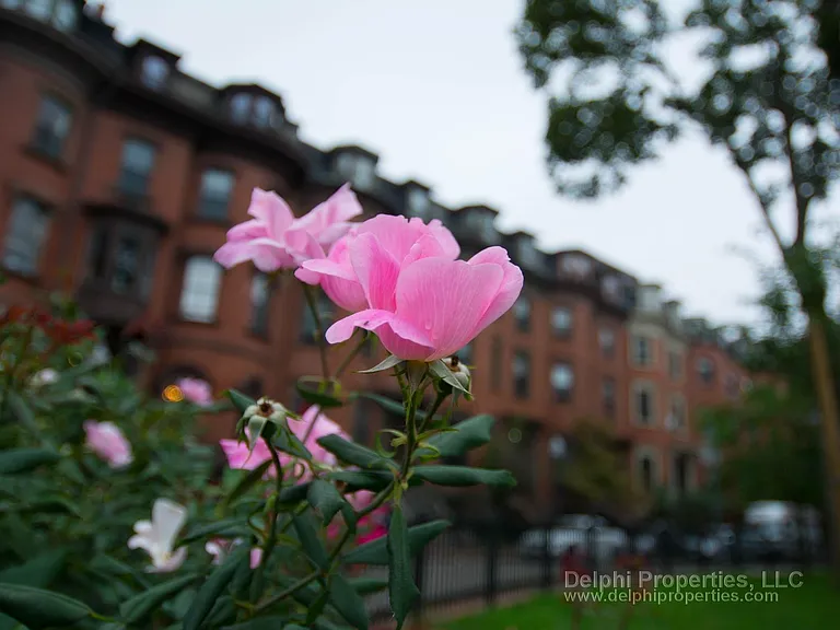554 Massachusetts Ave #1G — Photo 17