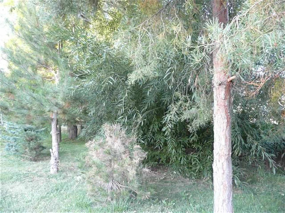 1st image of Fairchild Way