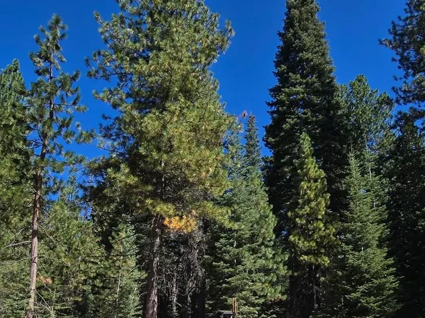 Lakeview Dr Unit 4, McCloud, CA 96057