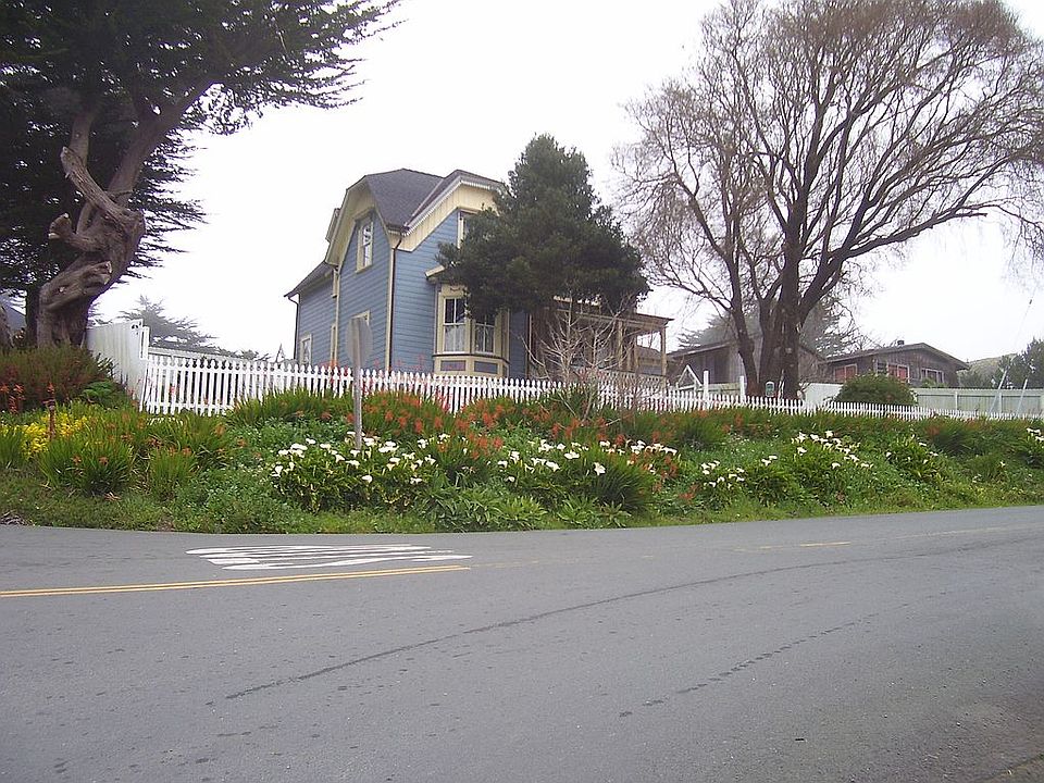 Front View In Spring