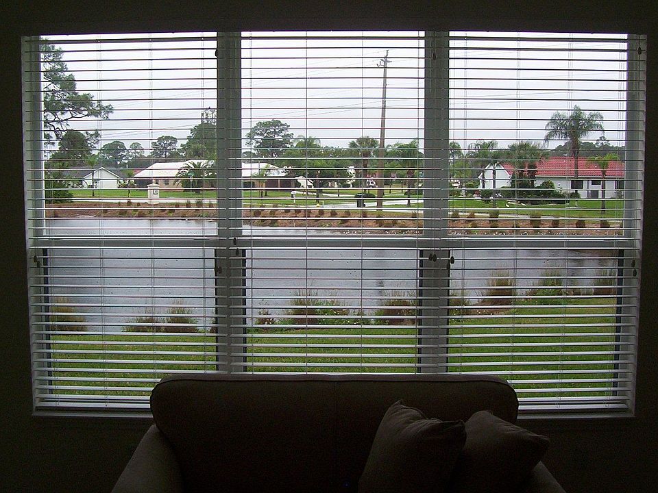Pretty pond view
