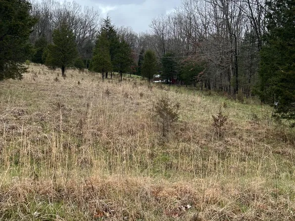 1075 Cooper Rd, West Union, OH 45693