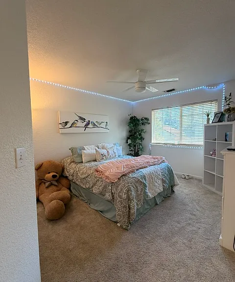 223 Canyon Creek Cir — Photo 27