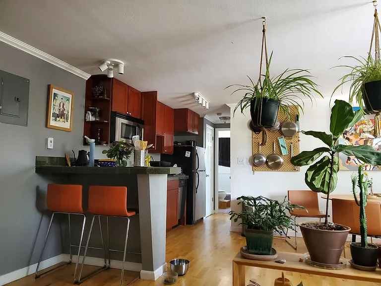 1135 Elizabeth St #201 — Photo 2