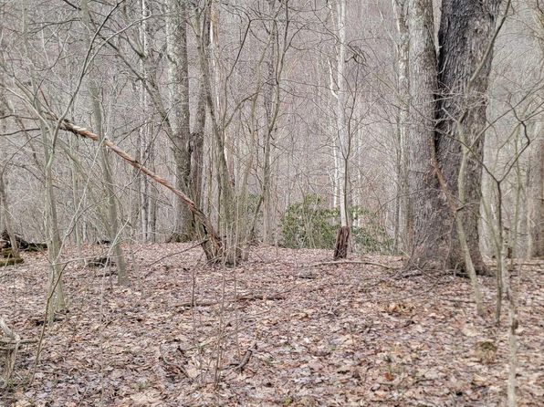 1711 Saltlick Rd, Rowlesburg, WV 26425