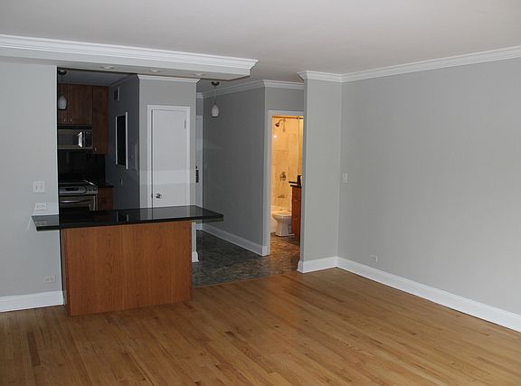 4th image of 1550 N Lake Shore Dr APT 13F