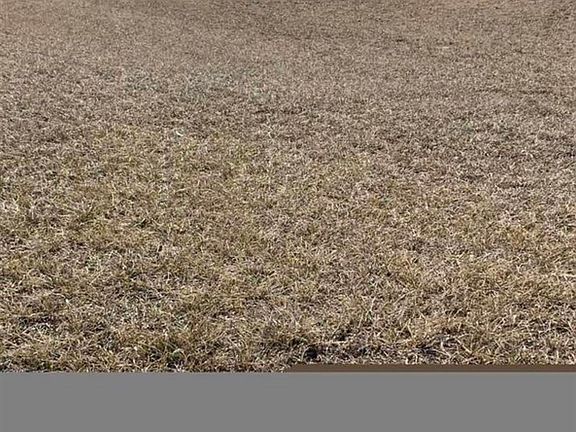 5th image of 507 Redbud Dr