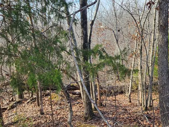 0 Magnolia Ln, Holladay, TN 38341