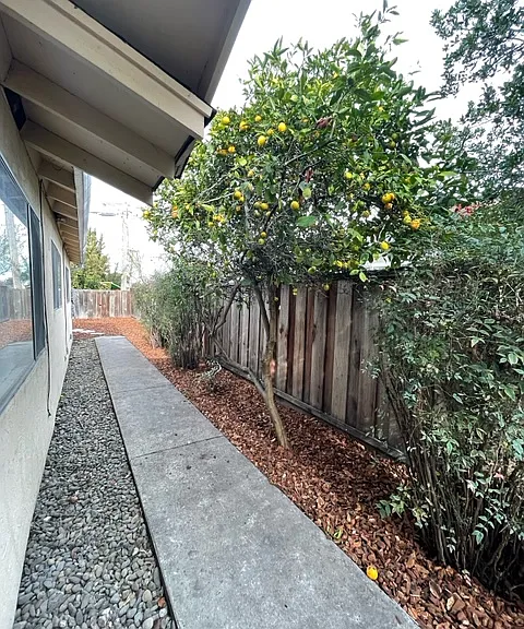 1081 Lakedale Way — Photo 12
