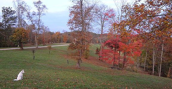 2nd image of 302 Highland Ln Lot 12