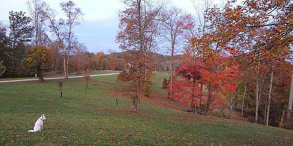 1st image of 302 Highland Ln Lot 8