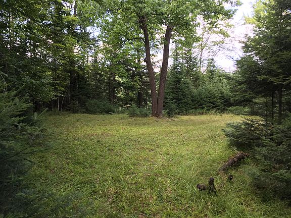Lot 1 building site