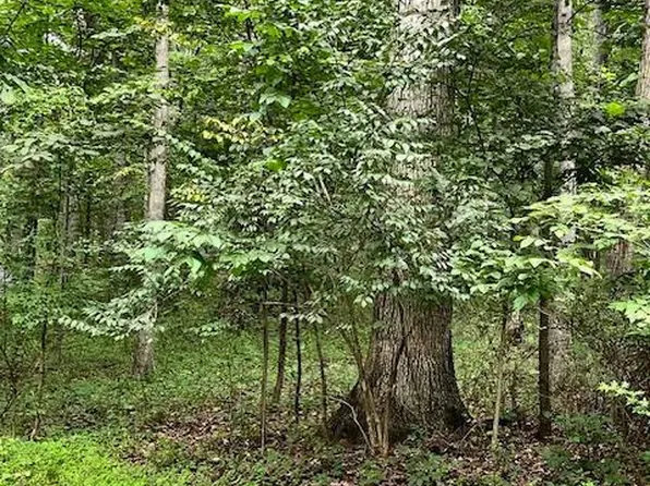 Baumgardner Rd S, Keymar, MD 21757