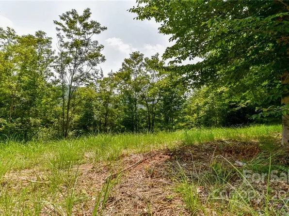 319 The Vines Blvd #21, Marshall, NC 28753