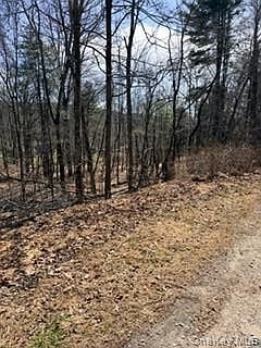 2nd image of 14 Old Country Road