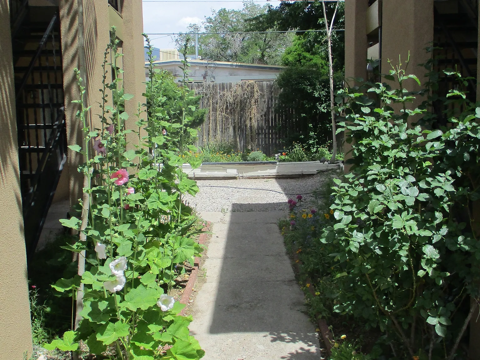 P39- 1804 Mary Ellen Street NE - D — Photo 1