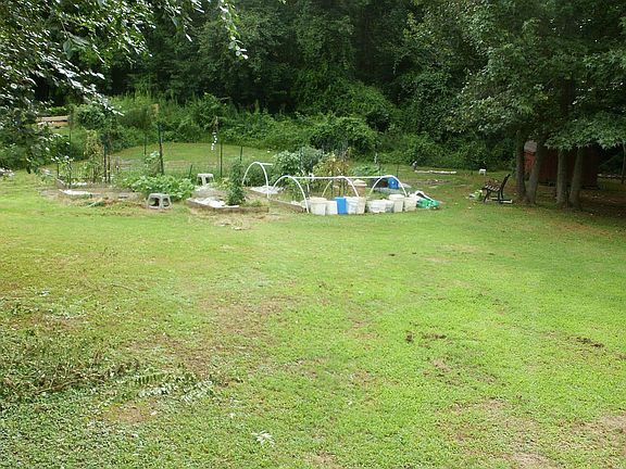 Back yard garden