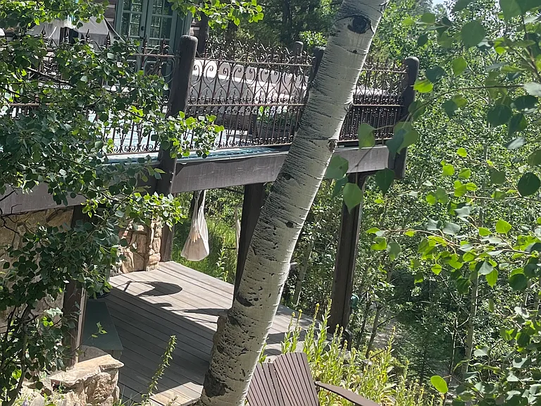 View from the driveway of your lower level oasis
