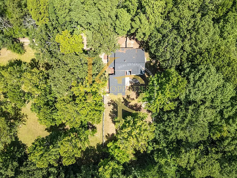 951 Walter Bright Rd — Photo 14