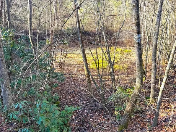 20 Walk Trl #Iii, Murphy, NC 28906