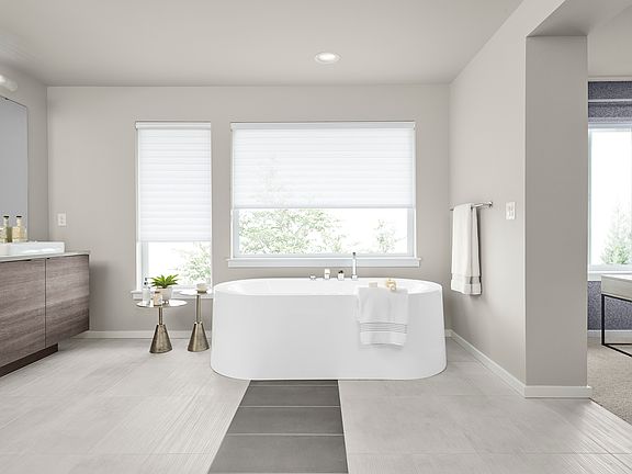 Interior Image For The Lotus