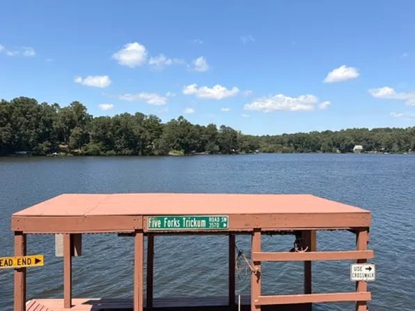8486 Lake Dr, Snellville, GA 30039