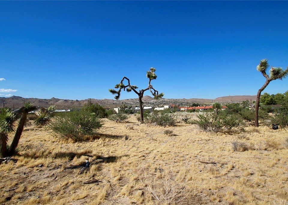 1st image of 57416 Lupine Dr