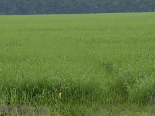 0 Highway 32, Water Valley, MS 38965