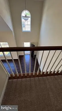 11151 Saint Christopher Dr — Photo 6