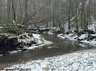 1 Spruce Run Rd, Leon, WV 25123