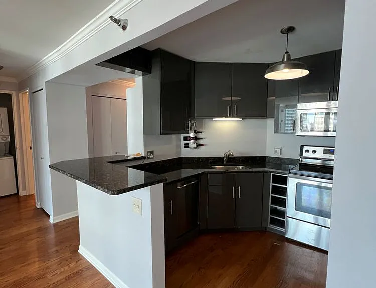 195 N Harbor Dr #3807 — Photo 10