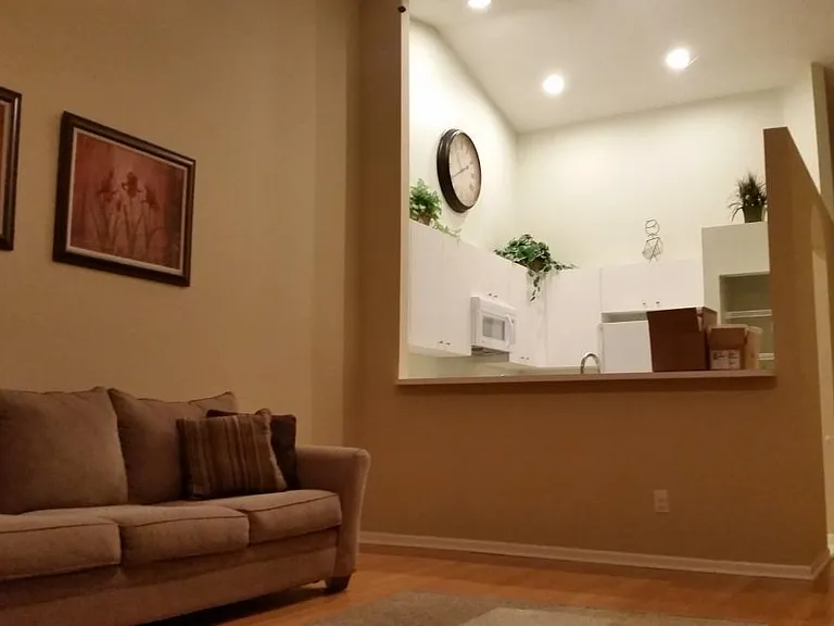 Living Room - Kitchen
