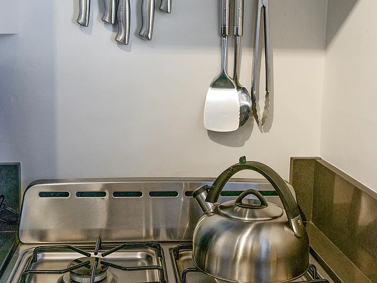 Stainless steel gas range