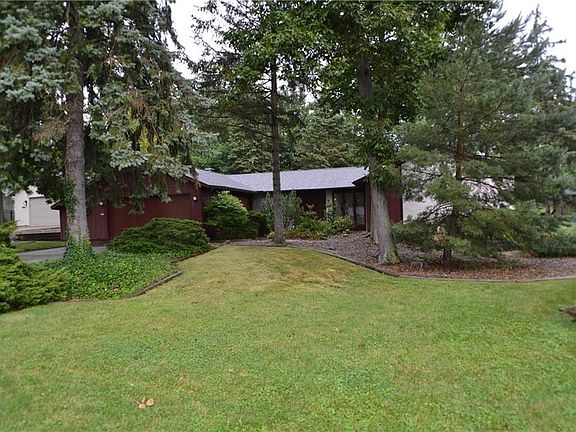 3rd image of 11572 Pine Tree Pl