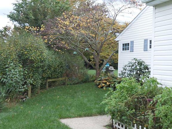 mature landscaping