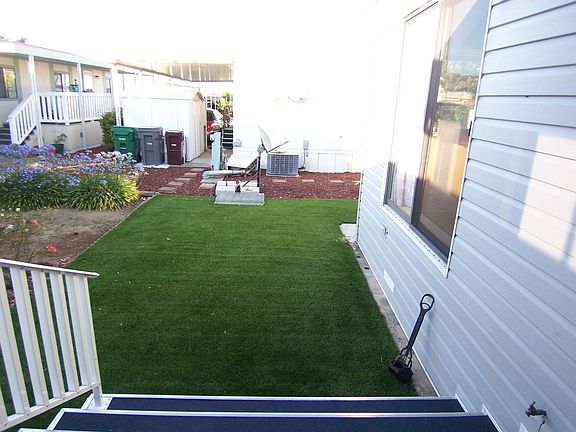 No weeds in this lawn