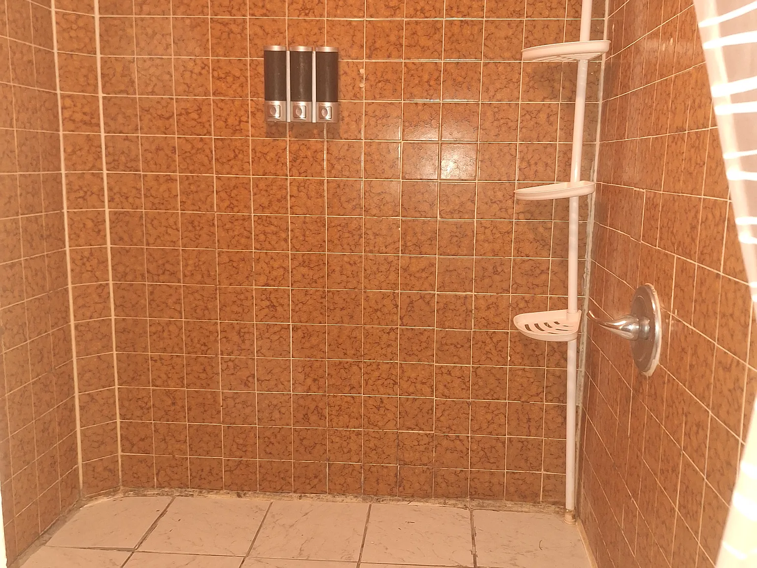 1 bed, 1.5 bath, 1500 sqft, $1,600 — Photo 3